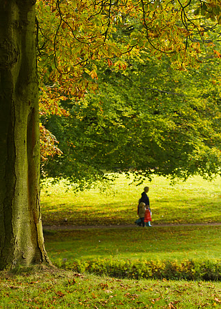 Herfst.