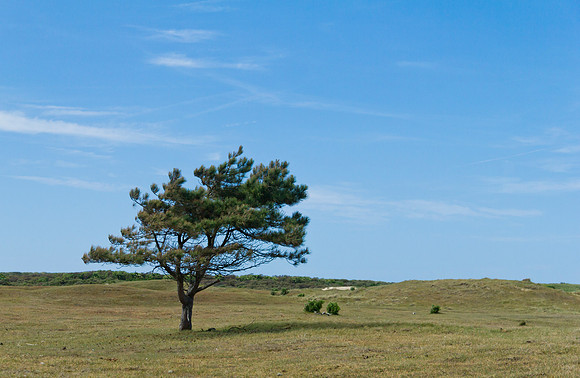 Solleveld.