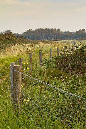 Solleveld.