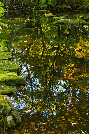 Weerspiegeling.