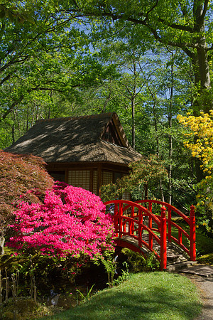 Japanse tuin.