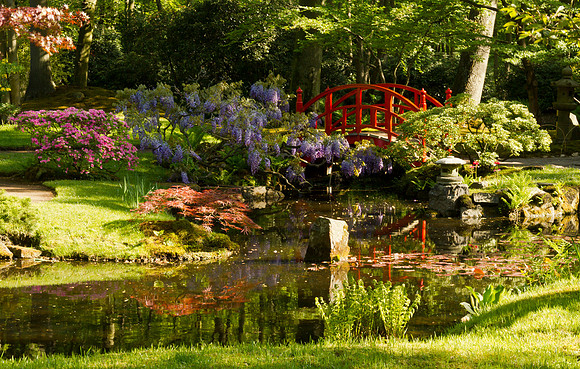 Japanse tuin Clingendael.