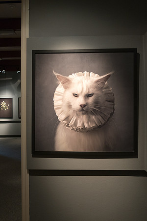 Expositie Marie Cecile Thijs